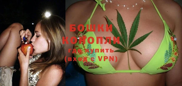 амф Володарск